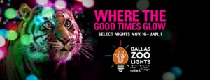 Dallas Zoo Lights