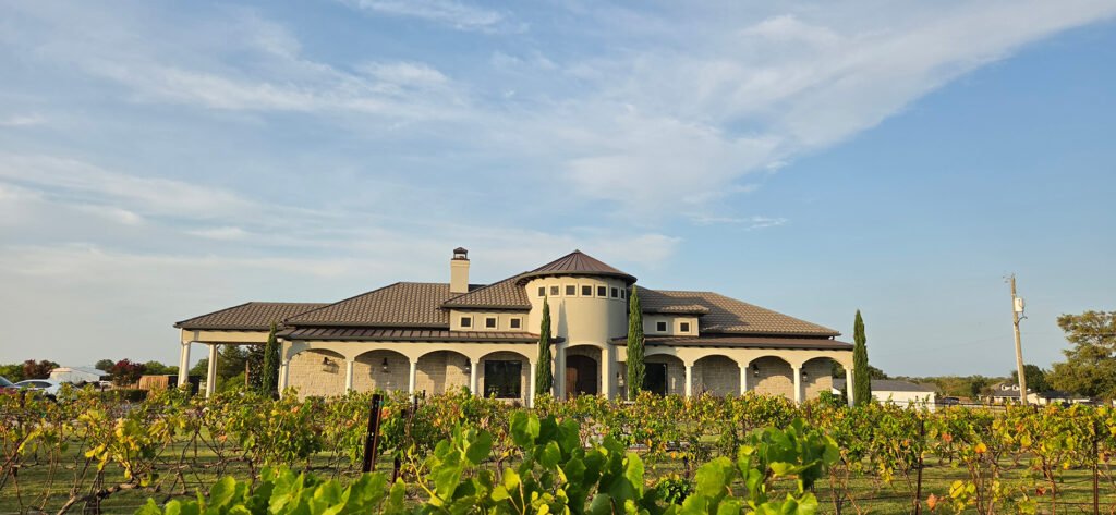 Rosini Vineyard