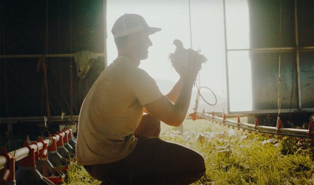 Farmer holding a chicken