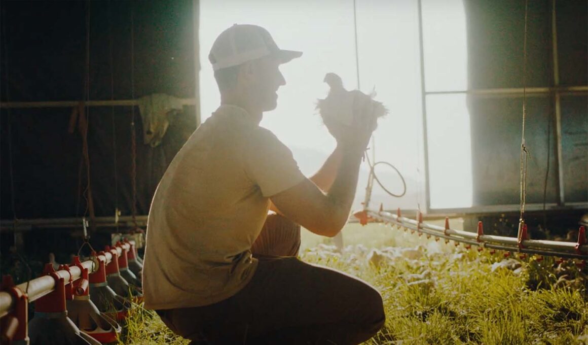 Farmer holding a chicken