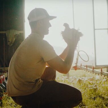 Farmer holding a chicken