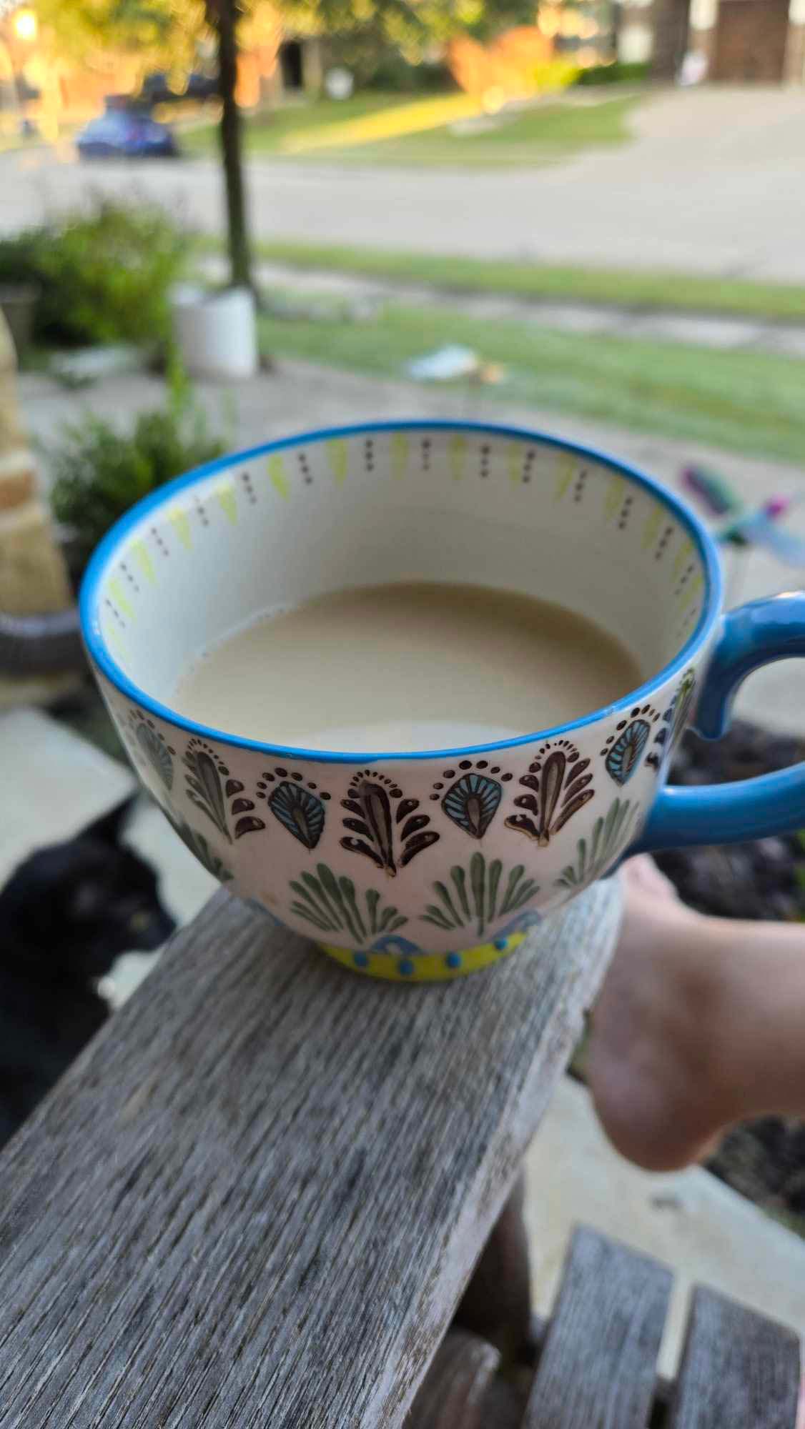 porch coffee with cat