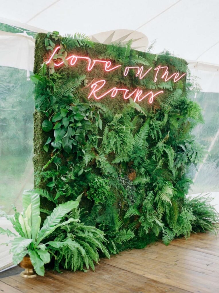 A variety of green foliage on a wall.