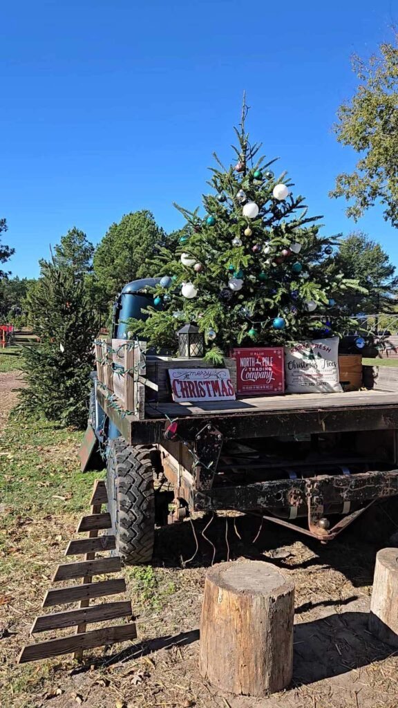 Old Farm Truck Decorated at the Kadee Christmas Tree Farm