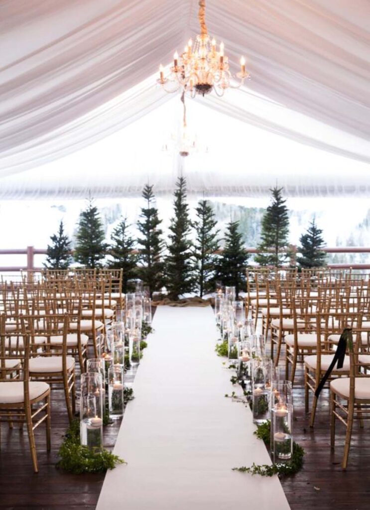 Evergreen Trees for Wedding Backdrop