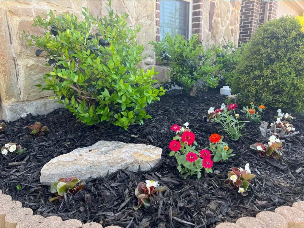 Front Yard Bed