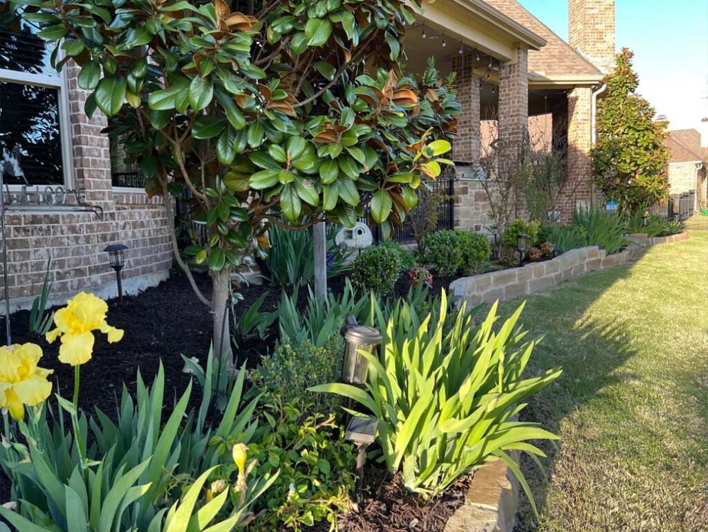 Yard Landscape by Noble Barnes