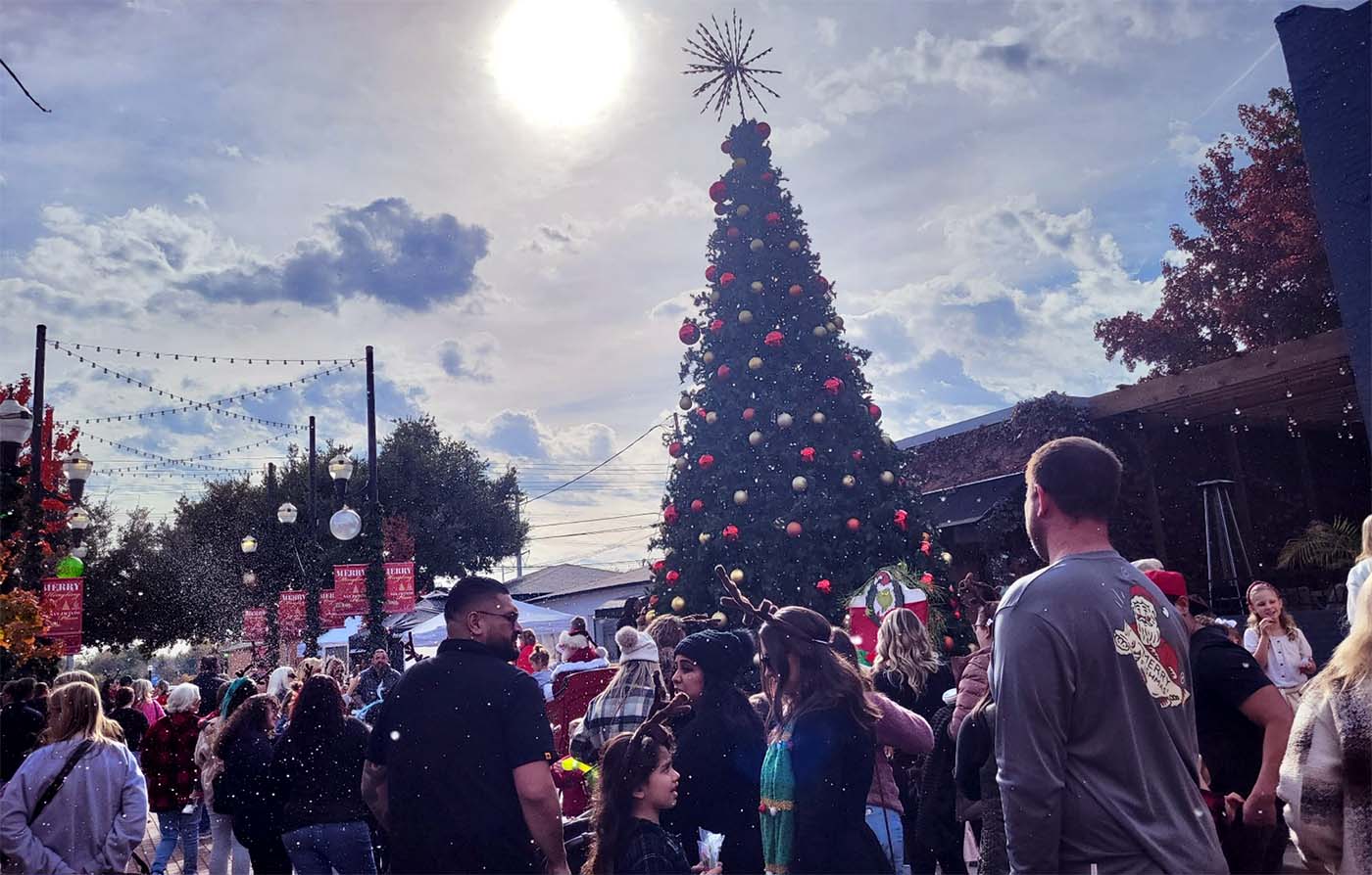 Downtown Christmas Tree in San Jacinto Plaza