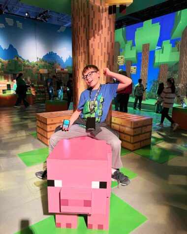 Riding on a Minecraft Experience pig