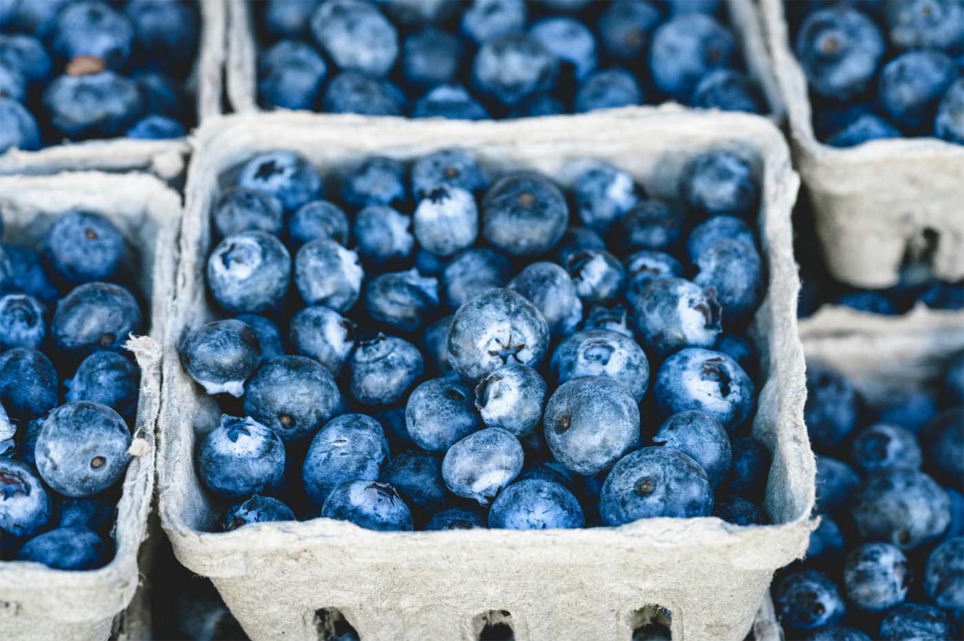 Baskets of blueberries