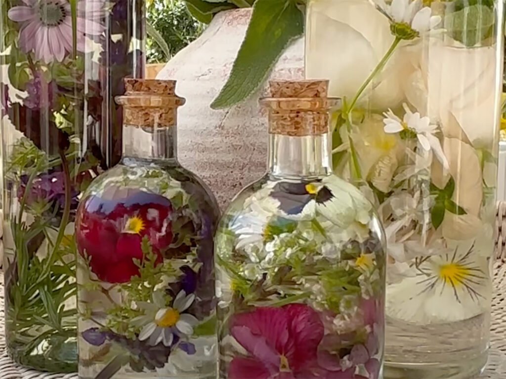 Spring Blooms Preserved in Oil