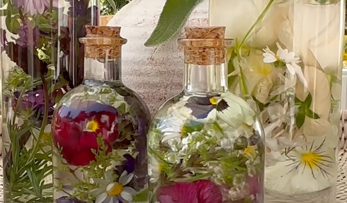Spring Blooms Preserved in Oil