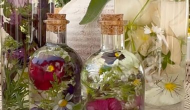 Spring Blooms Preserved in Oil