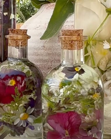 Spring Blooms Preserved in Oil