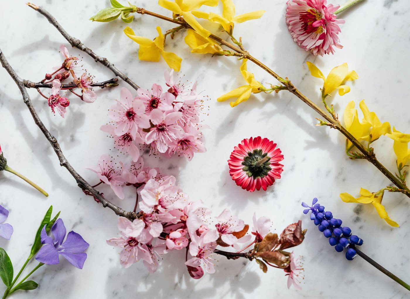 Assortment of picked flowers