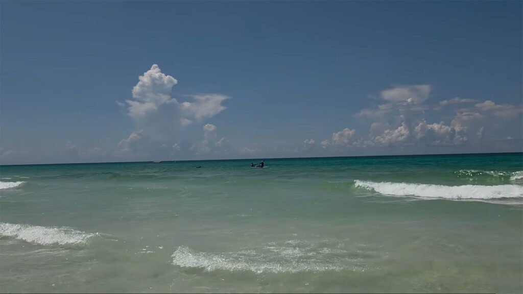 Dolphin spotted.