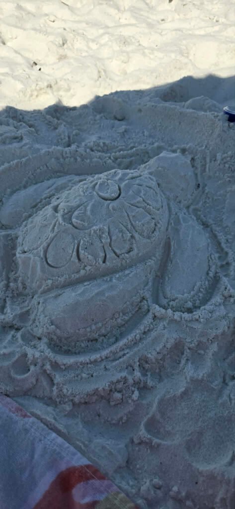 Made a sea turtle in the sand.