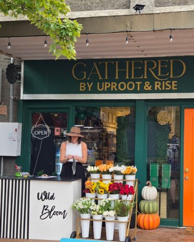 Gathered by Uproot & Rise Opens