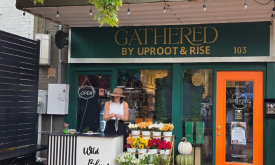 Gathered by Uproot & Rise Opens